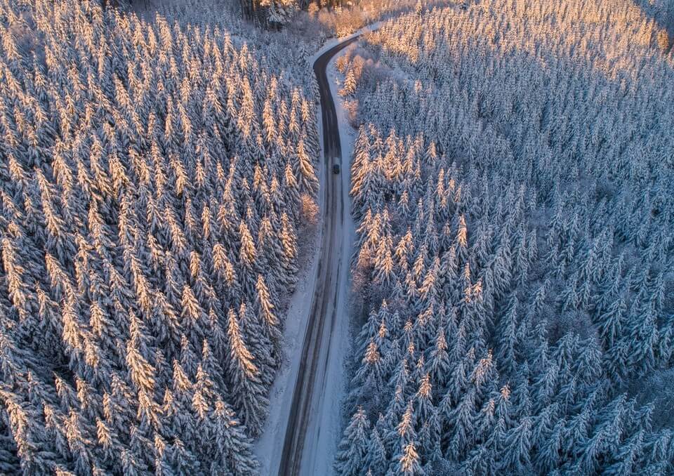 Horoscop lunar decembrie